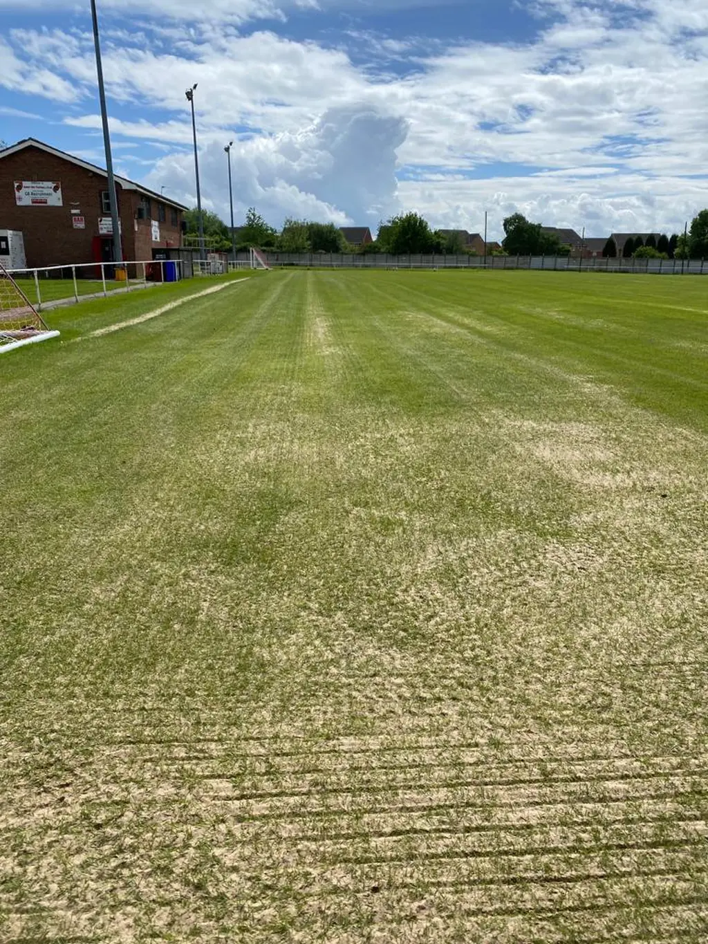 truturf artificial turf maintenance 005
